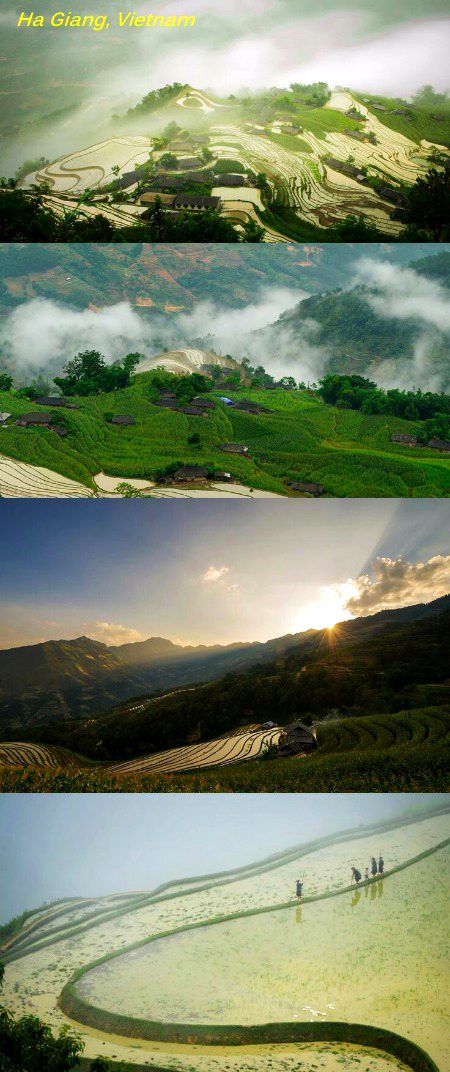 Beautiful Nature image