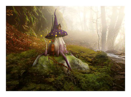 Beautiful Nature image