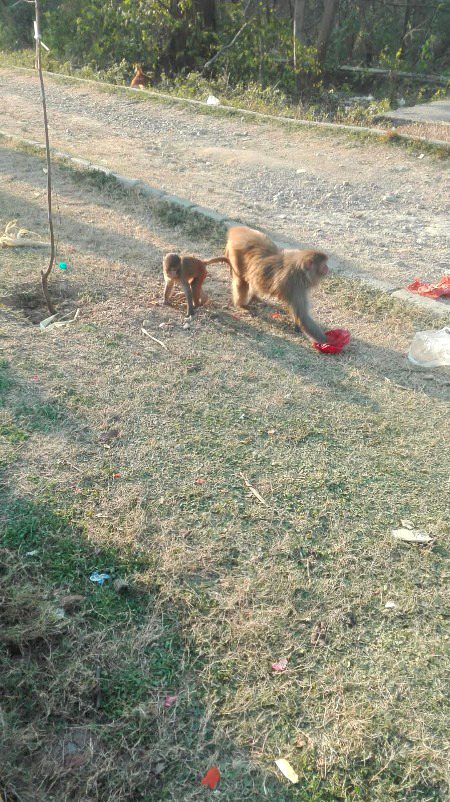 Beautiful Nature image