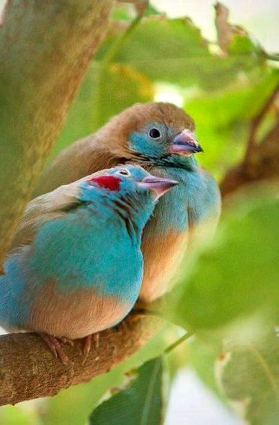 Beautiful Nature image