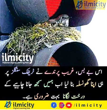 Social media post