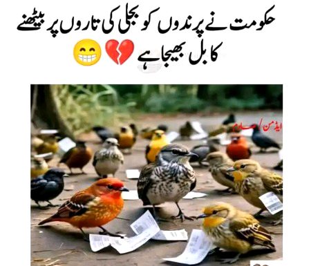 Memes & Satire image