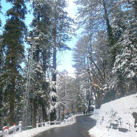 Beautiful Nature image