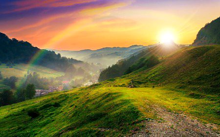 Beautiful Nature image