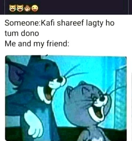 Memes & Satire image