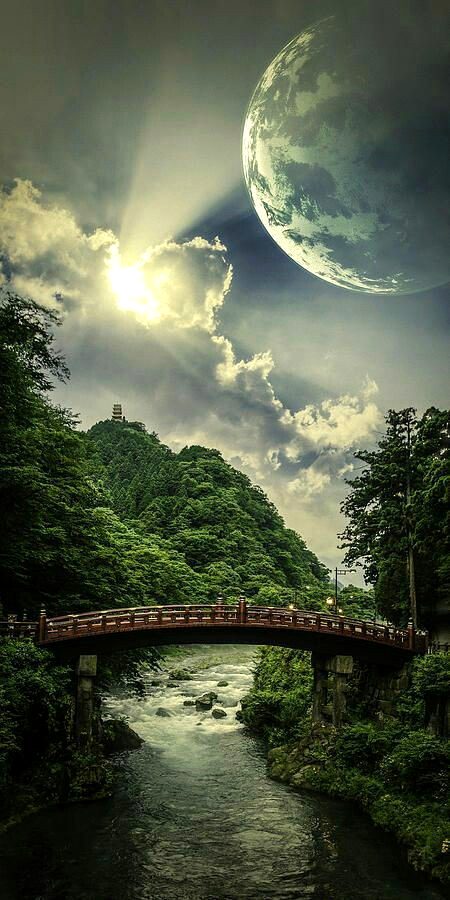 Beautiful Nature image