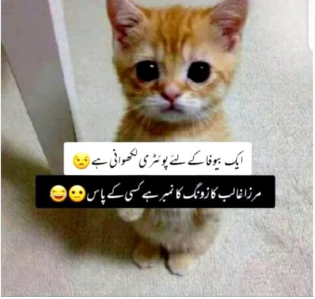 Jokes image