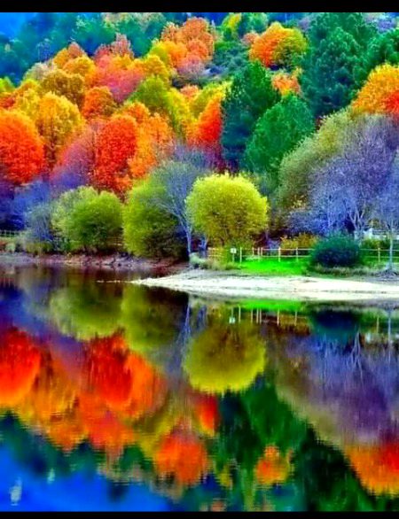 Beautiful Nature image