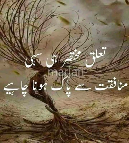 Social media post