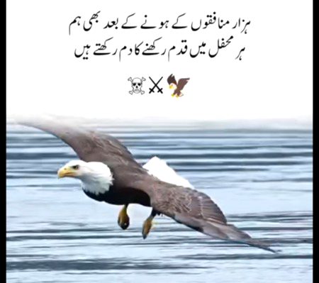 Social media post