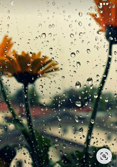 Beautiful Nature image