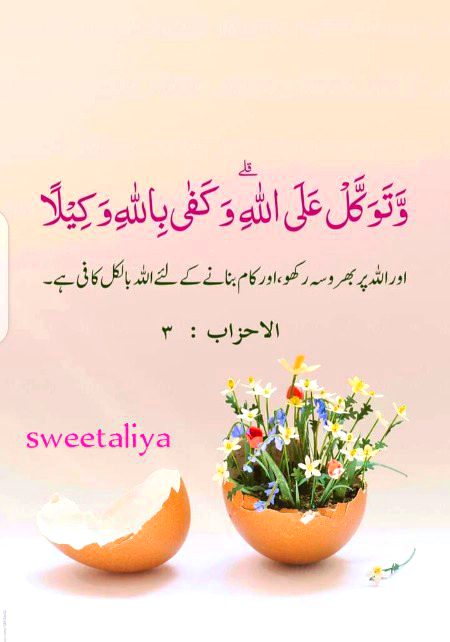 Islamic Quotes image
