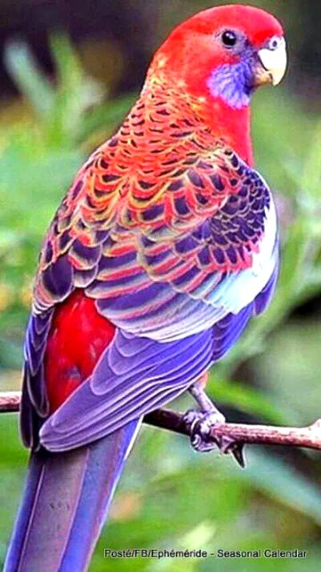 Beautiful Nature image