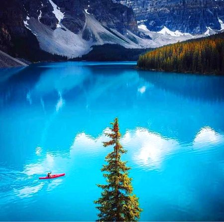 Beautiful Nature image