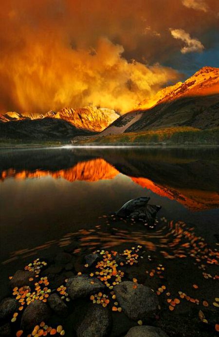 Beautiful Nature image