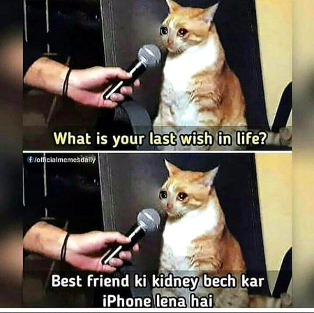 Memes & Satire image