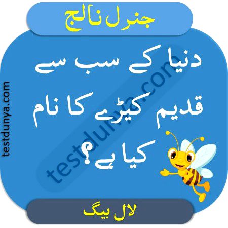 Riddles & Puzzles image