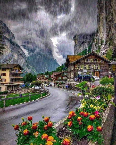 Beautiful Nature image