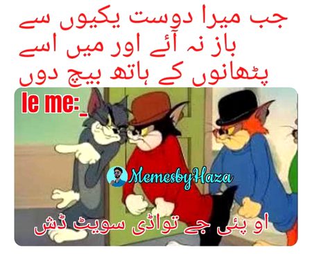 Memes & Satire image