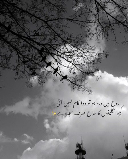Attitude Poetry image