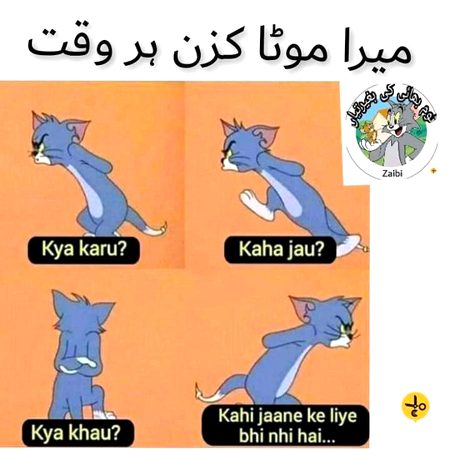 Memes & Satire image