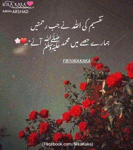 Islamic Quotes image