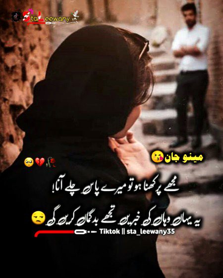 Sad Poetry image