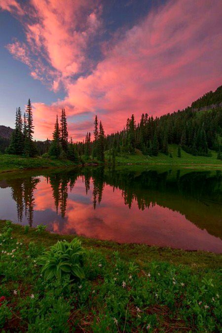 Beautiful Nature image