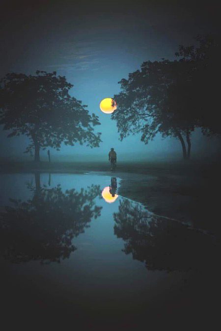 Beautiful Nature image