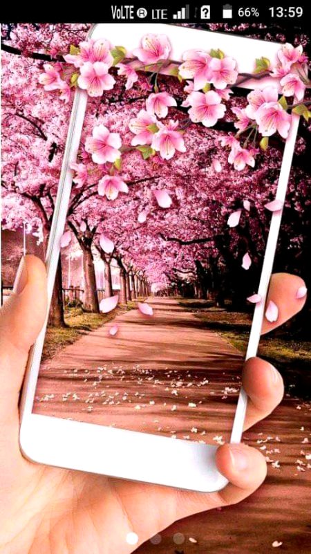 Beautiful Nature image