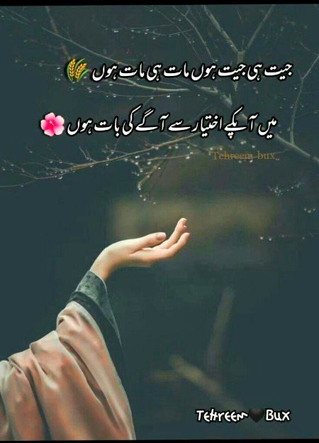 Attitude Poetry image