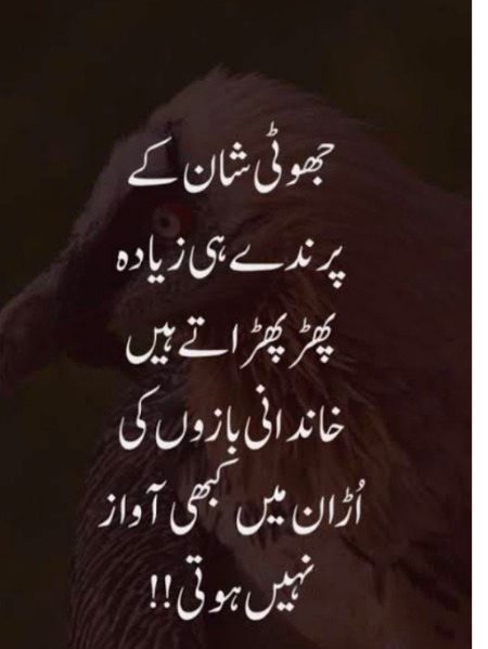 Attitude Quotes image