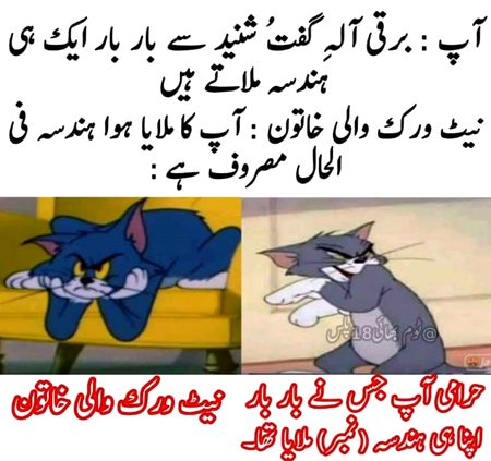 Memes & Satire image