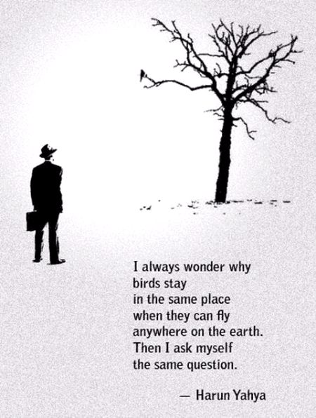 Motivational Quotes image