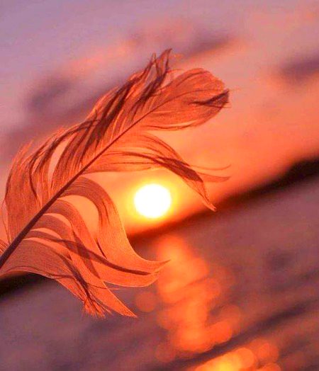 Beautiful Nature image