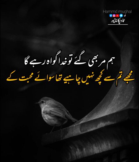 Sad Poetry image