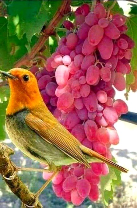 Beautiful Nature image