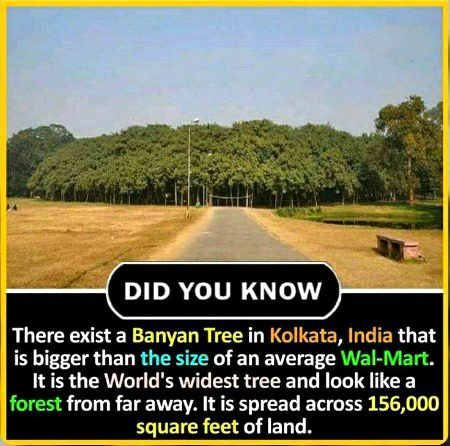 Interesting Posts image