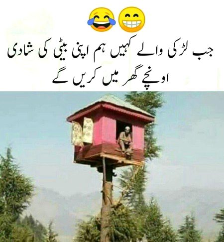 Memes & Satire image