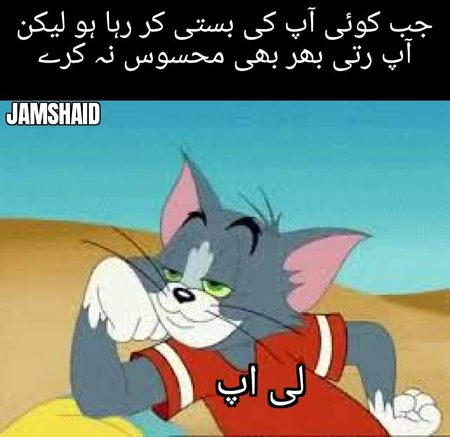 Memes & Satire image