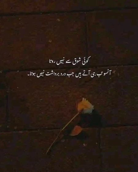 Sad Poetry image