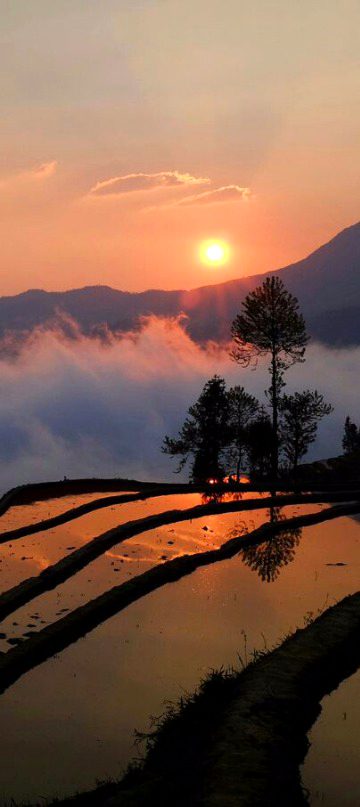 Beautiful Nature image