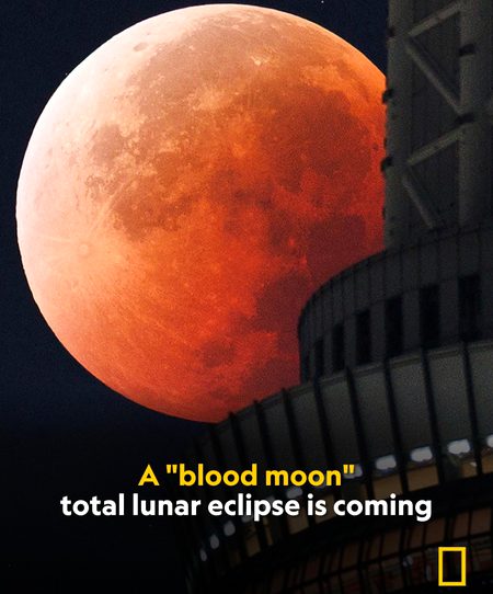 Interesting Posts image