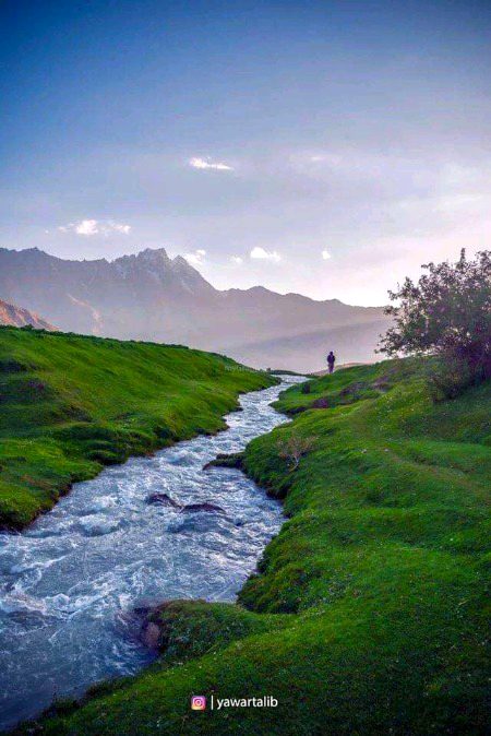 Beautiful Nature image