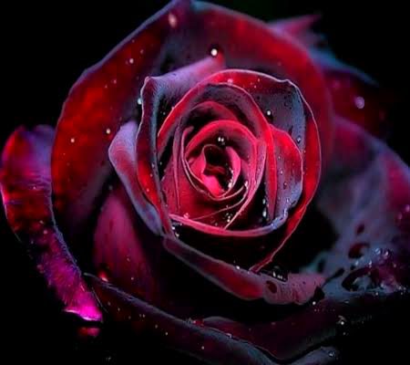 Beautiful Nature image