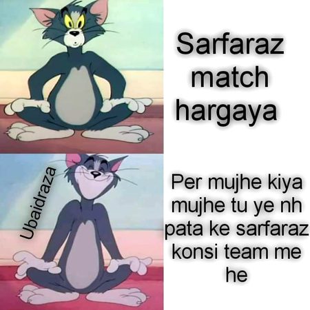 Memes & Satire image