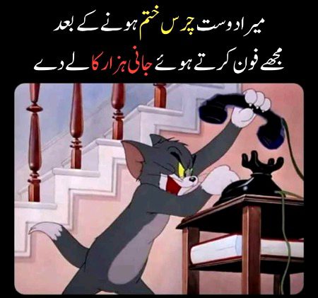 Memes & Satire image
