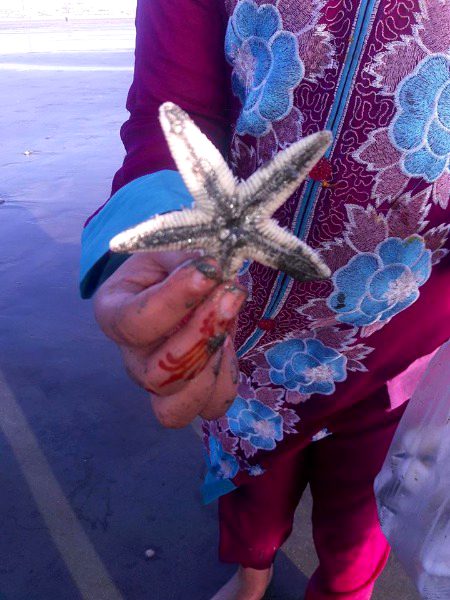 Beautiful Nature image