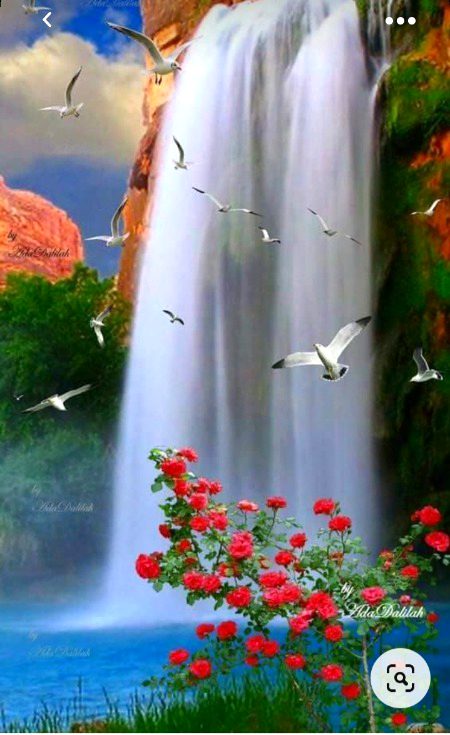 Beautiful Nature image