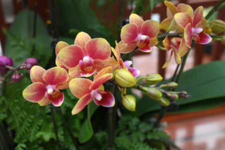 Beautiful Nature image